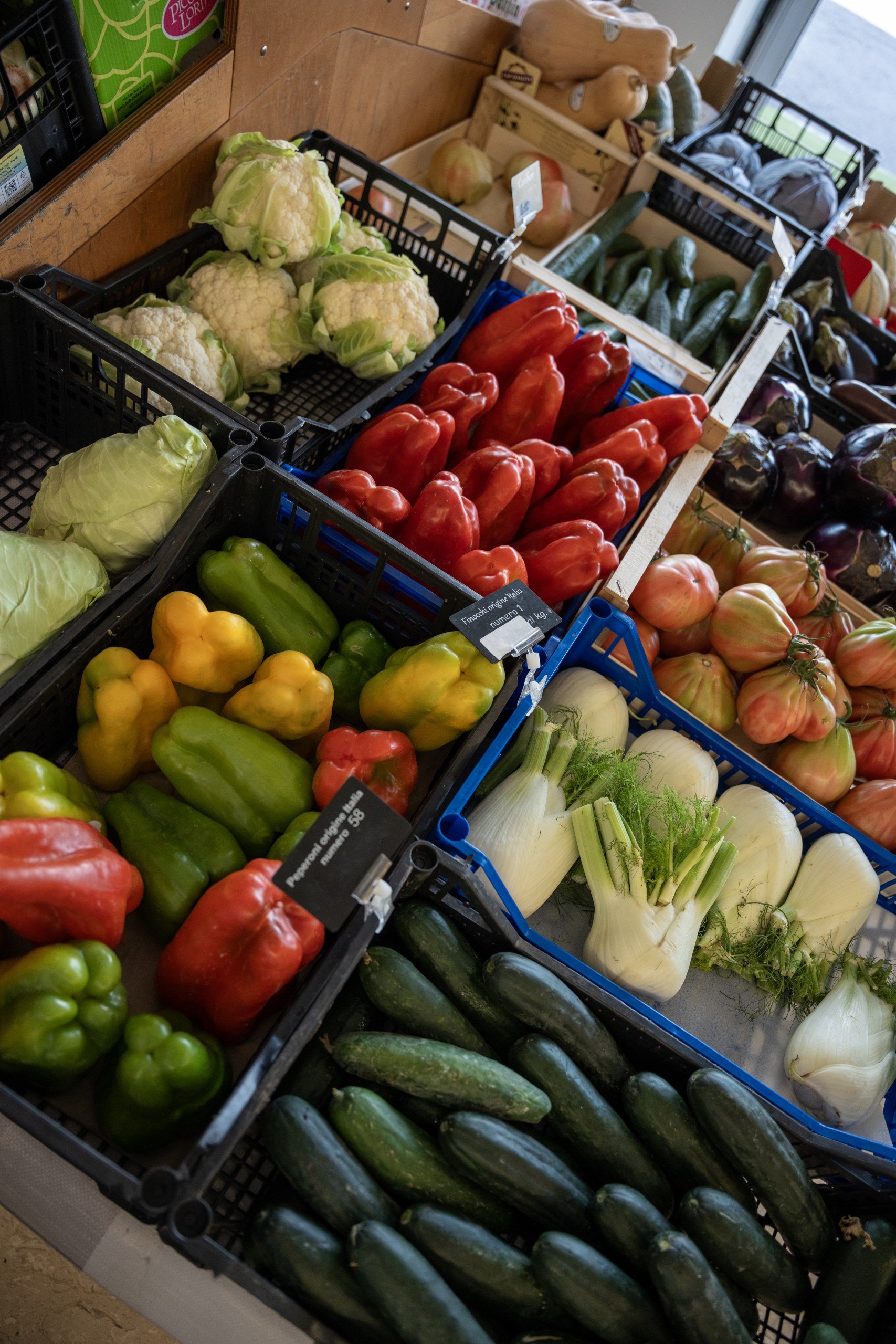 Il banco dell'ortofrutta: cavolfiori, peperoni, finocchi, zucchine e pomodori con i cartellini d'origine